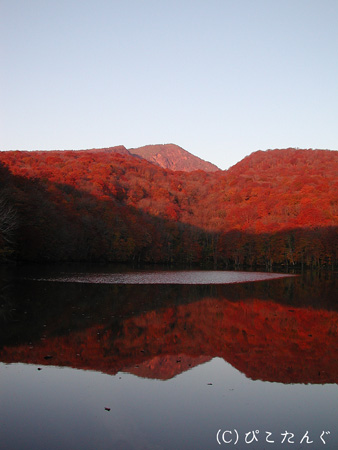 紅葉の蔦沼と赤倉岳