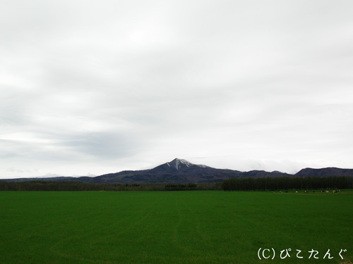 武佐岳